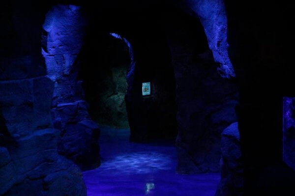 Shreveport-aquarium3.jpg