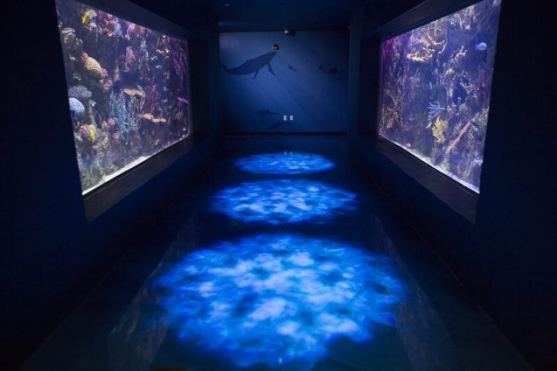 Shreveport-aquarium.jpg