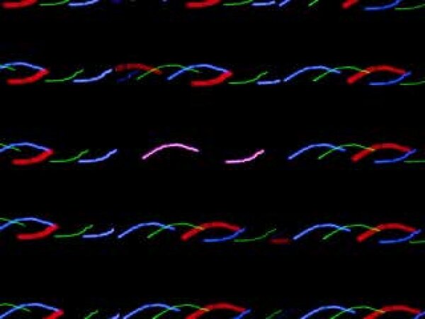 CS-2000RGB FX_2.jpg