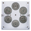 JB Systems ACCU COLOR-WHITE  B05126 - 11