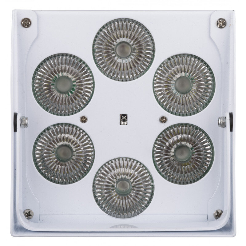 JB Systems ACCU COLOR-WHITE  B05126 - 11