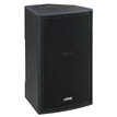 JB Systems VIBE12 Mk2  B00691 - 3