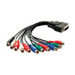 Blackmagic Design Cable - Intensity Pro CABLE-BINTSPRO