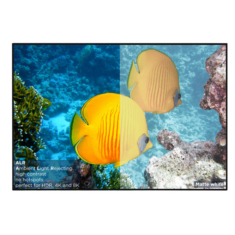 celexon 1000016004 1000016004 - 3
