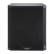 Audiophony CARBON18ASub H11711