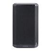 Audiophony CARBON12A H11709 - 5