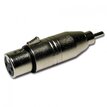 Audiophony ADA/XFRM  H2504