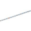 Contest COLORTAPE3065  H9859 - 1