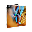 EGO Display Iridah-Flex1.9 IRIDAH-FLEX1.9 - 6